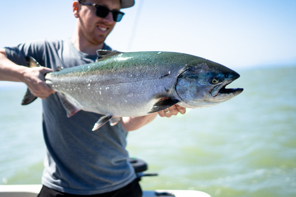 Targeting Staging Salmon at the Fraser River Mouth: Gear, Tactics, and Tips