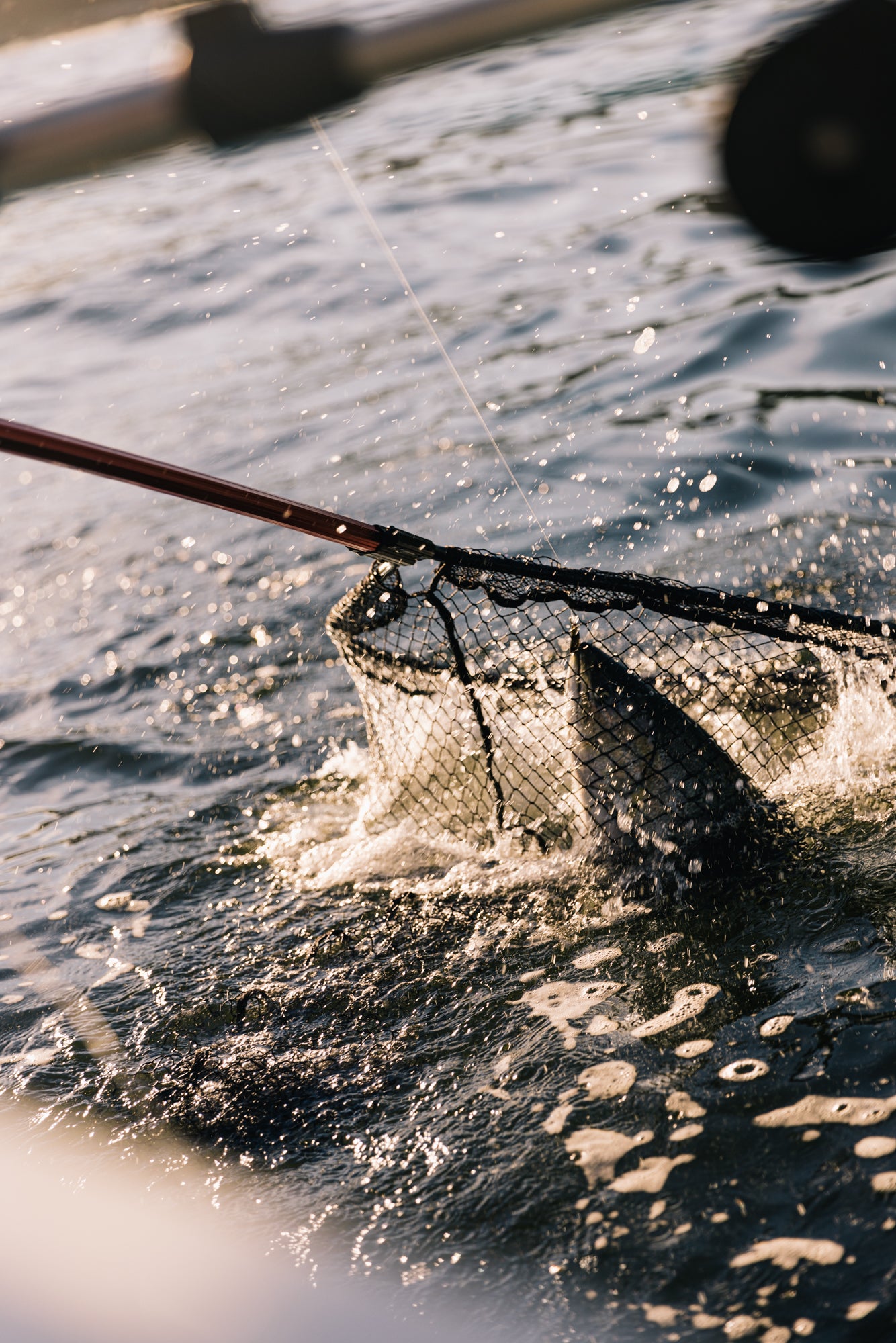 Product Spotlight – America Go Fishing - Coastal Angler & The